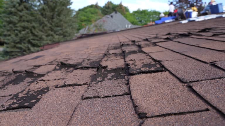 Best Roof Ventilation Installation  in Lamesa, TX